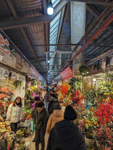 China_Feb_2024_001