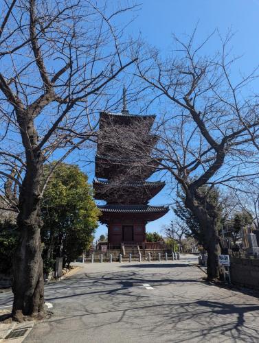 Japan_March_2024_031