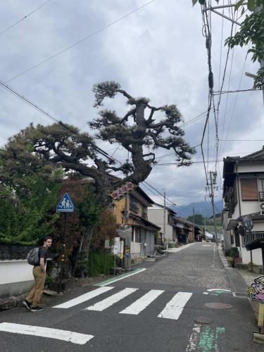 japan_april_2024_158